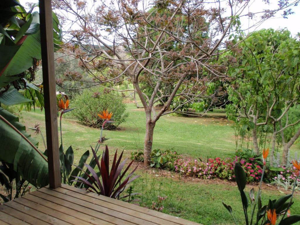 קאריקרי Wharepuke Subtropical Accommodation מראה חיצוני תמונה