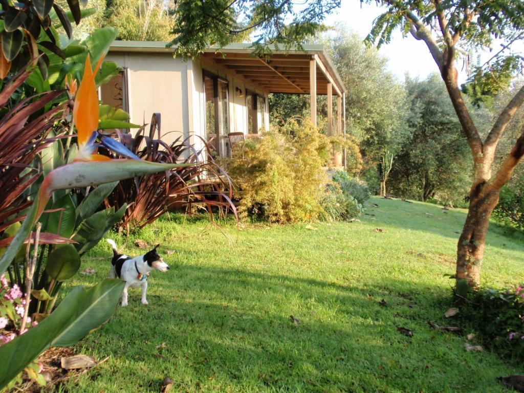 קאריקרי Wharepuke Subtropical Accommodation חדר תמונה