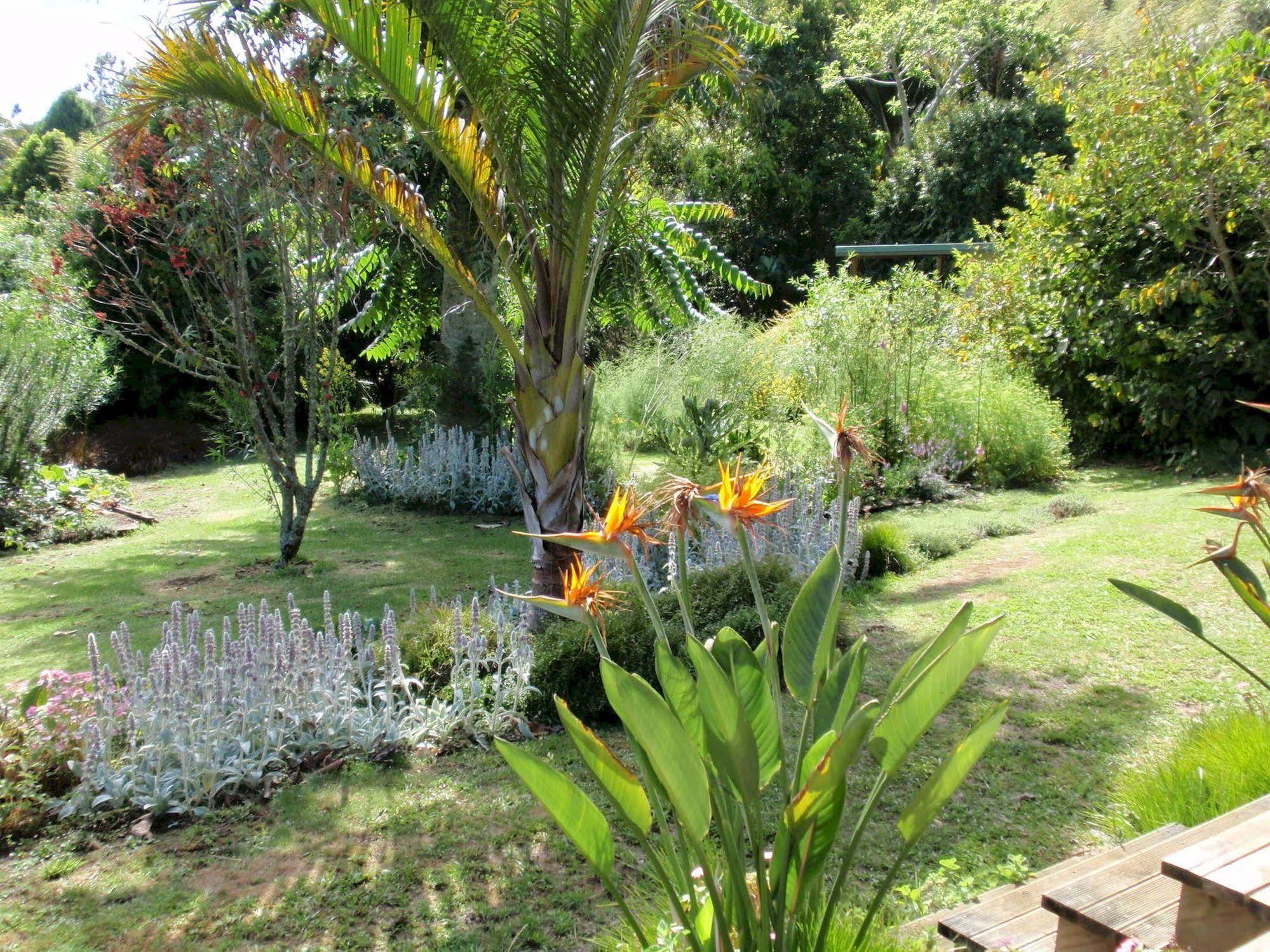 קאריקרי Wharepuke Subtropical Accommodation מראה חיצוני תמונה